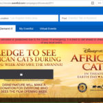 "African Cats" promotions