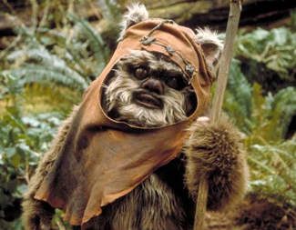 Ewok character from "Star Wars: Return of the Jedi"