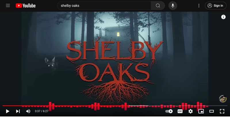 horror film "Shelby Oaks"